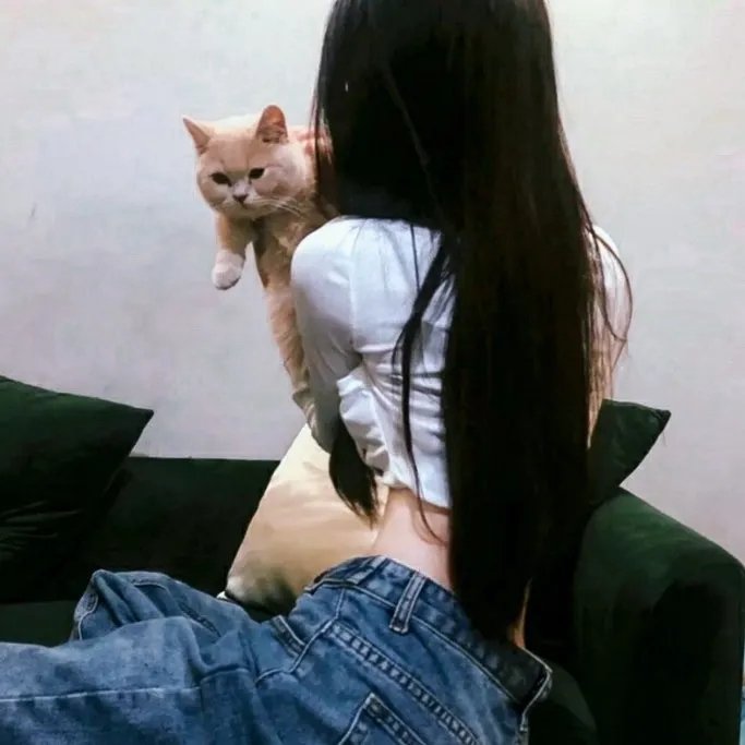 网中人粤语